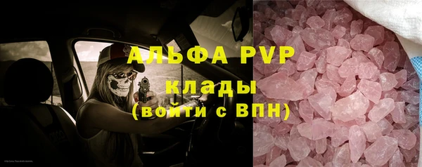 дживик Богородицк