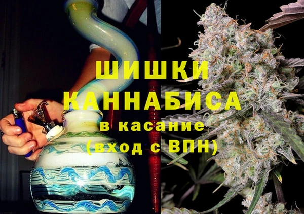 дживик Богородицк