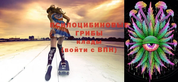 дживик Богородицк