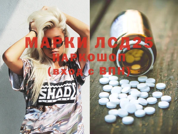 дживик Богородицк