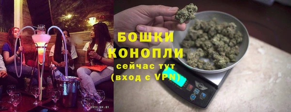 дживик Богородицк