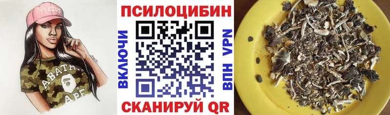Псилоцибиновые грибы прущие грибы  купить наркотик  Ачхой-Мартан 