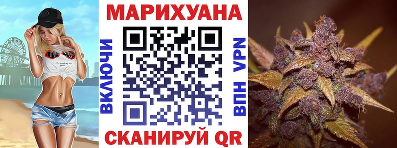 Шишки марихуана гибрид Ачхой-Мартан